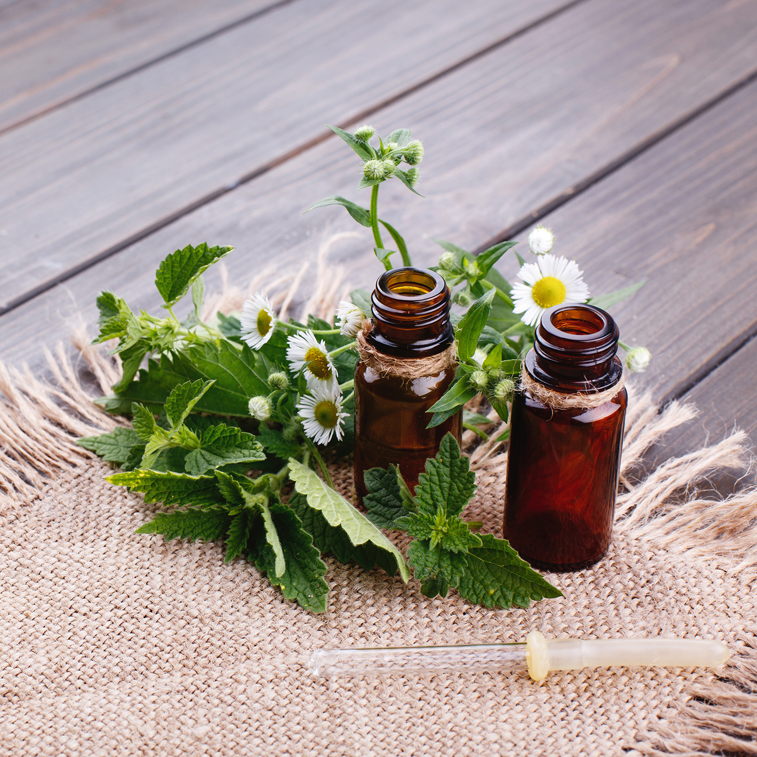 Menthe poivrée et anis 